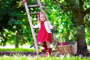 致敬传奇！退役明星现身赛场，观众眼含热泪！